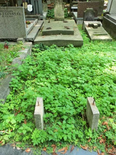 Zdjęcie grobu: Stanisław Buliński