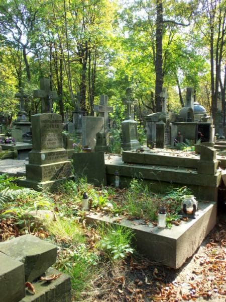 Zdjęcie grobu Henrysia Czabanówna (1)