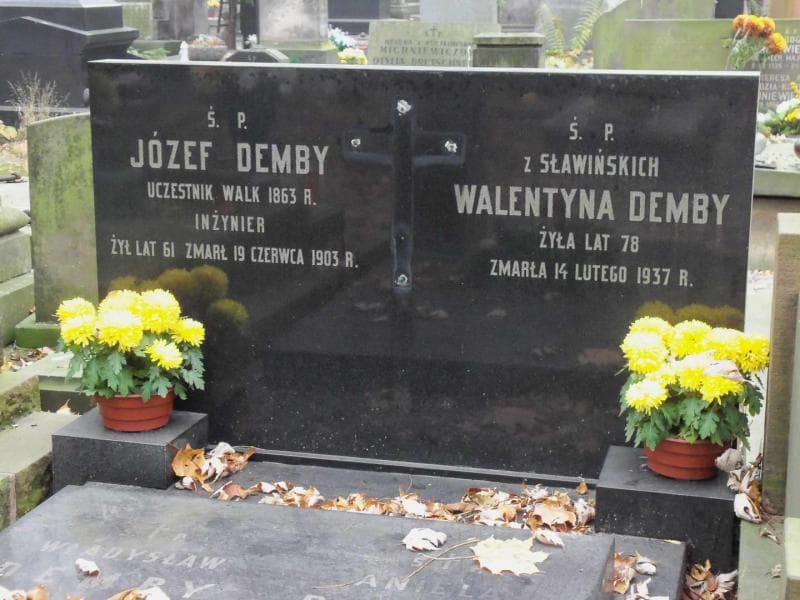 Zdjęcie grobu Józef Demby (2)