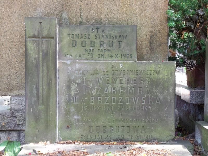 Zdjęcie grobu Cecylja Brzozowska (2)