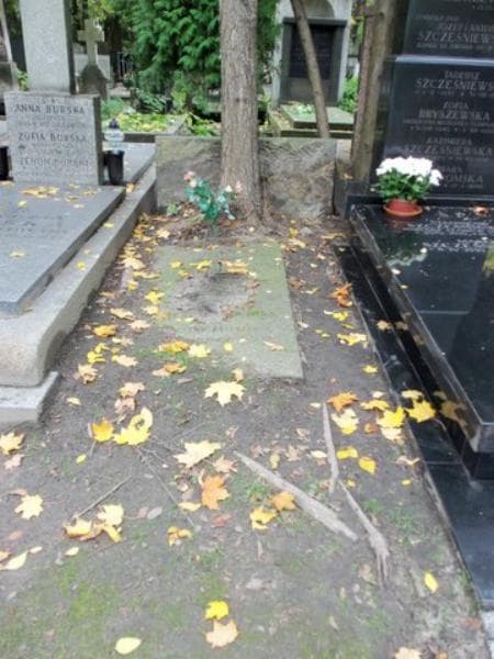 Zdjęcie grobu: Bronisław Czyz