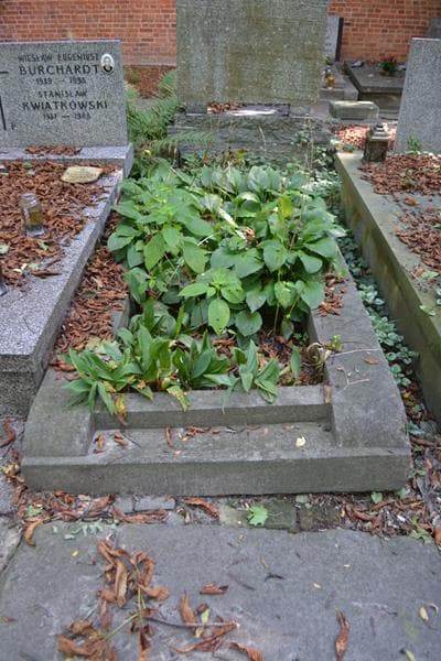 Zdjęcie grobu Jerzy Rychter (1)