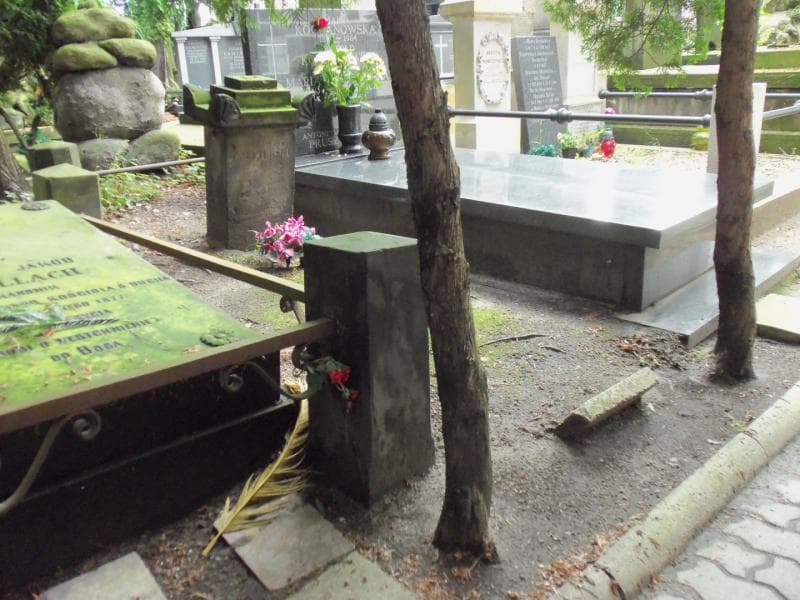 Zdjęcie grobu Ludwik Czekierski (1)