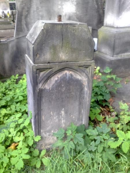 Zdjęcie grobu Władysław Terpiłowski (1)
