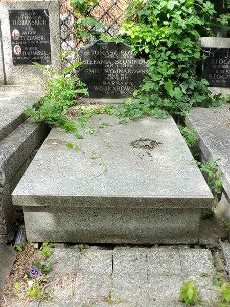 Zdjęcie grobu: Tomasz Słonina