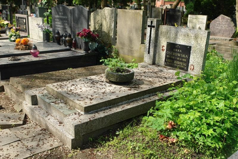 Zdjęcie grobu Karol Ostrowski (1)