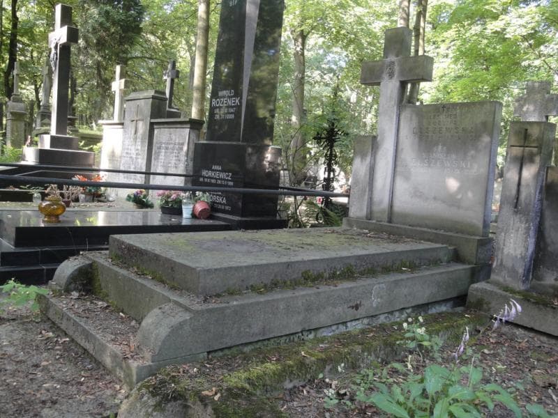 Zdjęcie grobu Stanisław Olszewski (1)