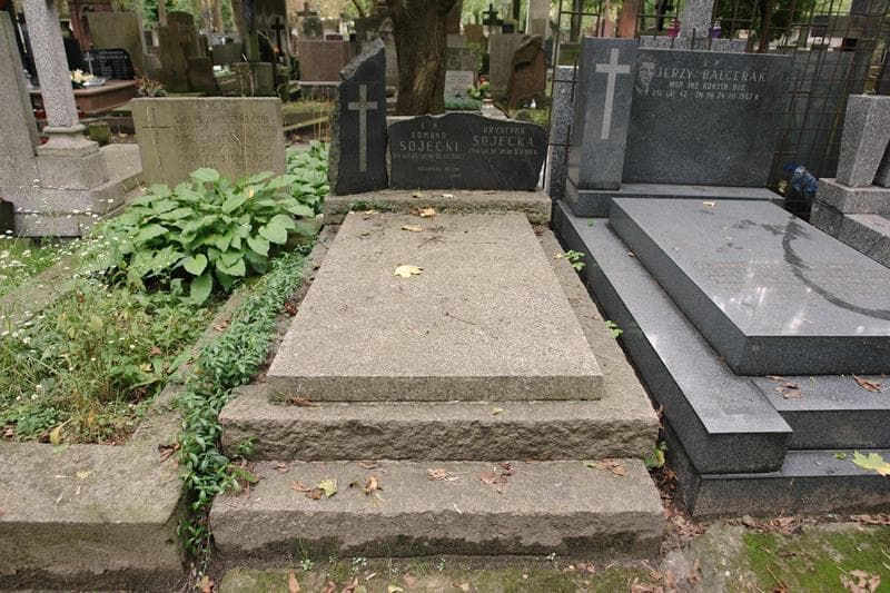 Zdjęcie grobu Stefania Krzyżanowska (1)
