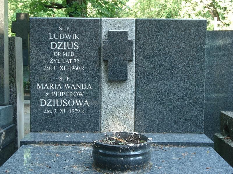 Zdjęcie grobu Ludwik Dzius (2)