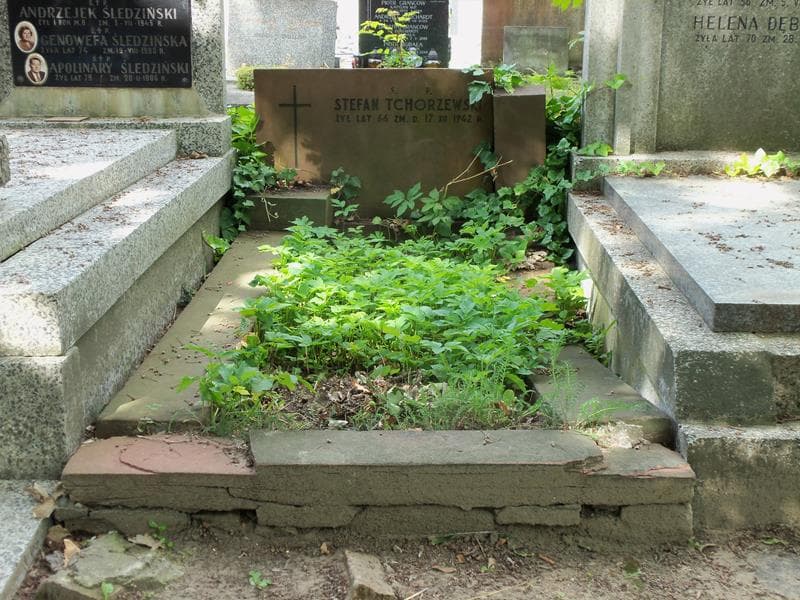 Zdjęcie grobu: Stefan Tchorzewski