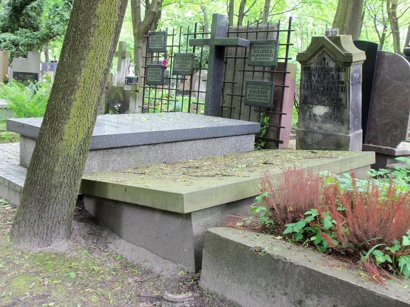 Zdjęcie grobu Stanisław Sawicki (1)