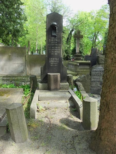 Zdjęcie grobu: Witold Idźkowski