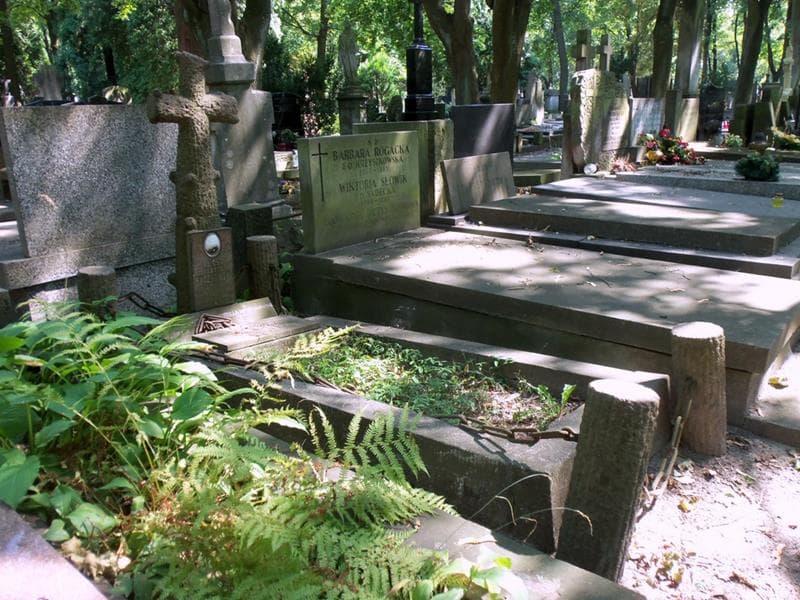 Zdjęcie grobu: Izabella Mieszczanowska