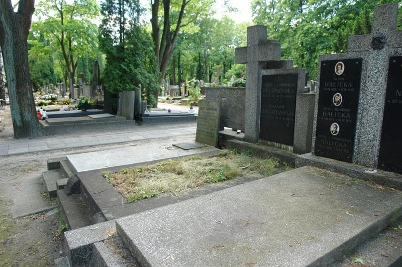 Zdjęcie grobu: Zenaida Zagożdzińska