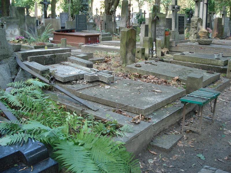 Zdjęcie grobu Amelia Jaroszewska (2)