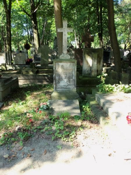 Zdjęcie grobu: Wacław Hanicki