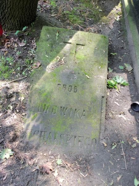 Zdjęcie grobu Ludwik Michalski (2)