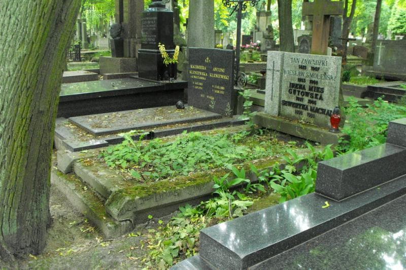 Zdjęcie grobu: Seweryna Machaj