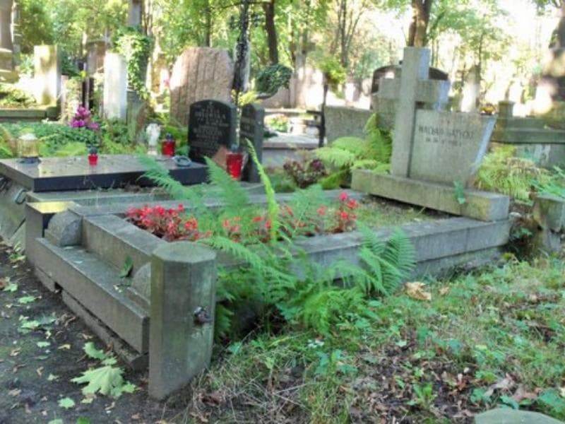Zdjęcie grobu Wacław Batycki (1)