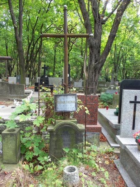 Zdjęcie grobu Stefania Frieman (1)