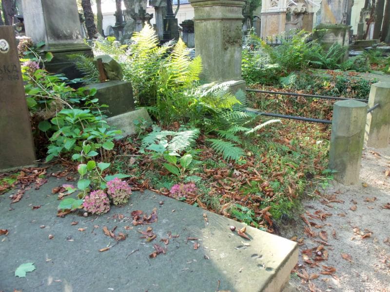 Zdjęcie grobu Konstanty Celiński (1)