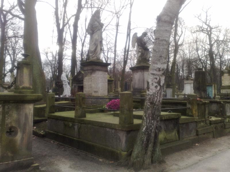 Zdjęcie grobu Magdalena Gołuchowska (1)