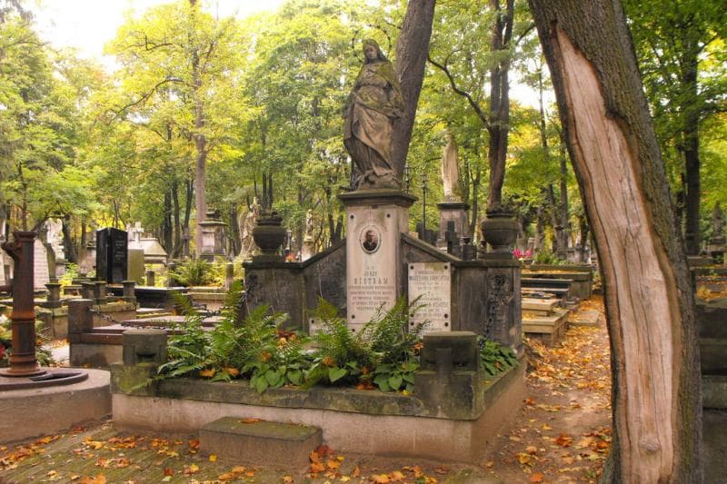 Zdjęcie grobu Wanda Kłopotowska (1)