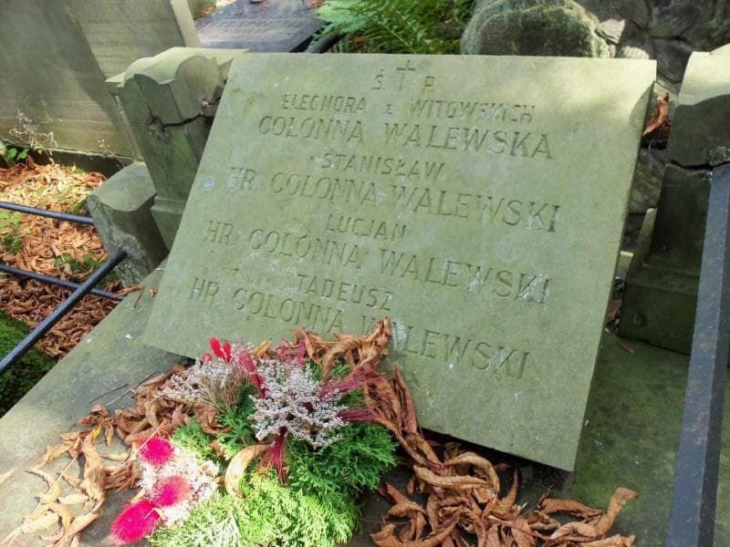 Zdjęcie grobu Stanisław Colonna Walewski (2)
