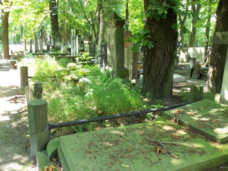 Zdjęcie grobu Mieczysław Pechmann (1)