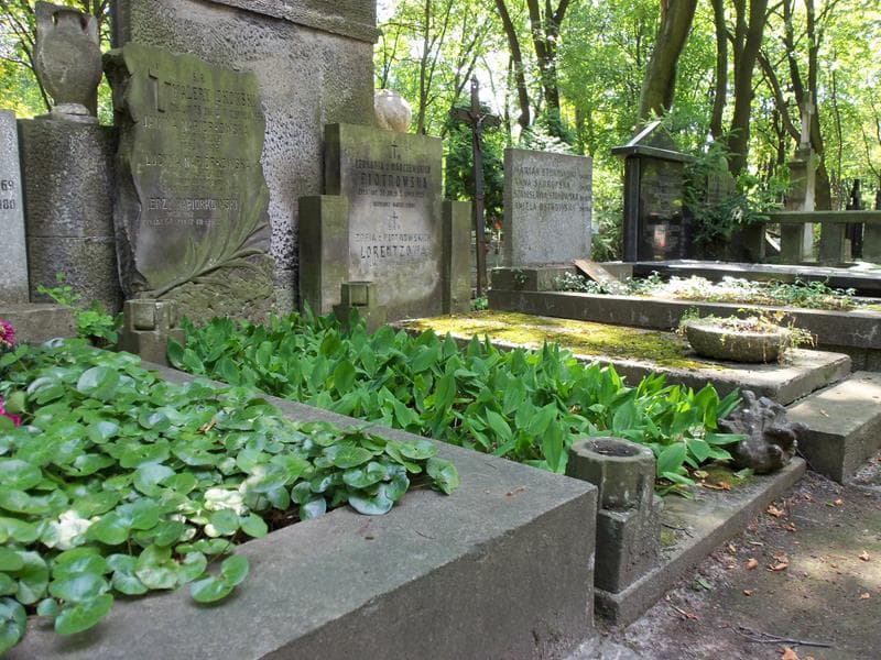 Zdjęcie grobu Walery Okoński (1)