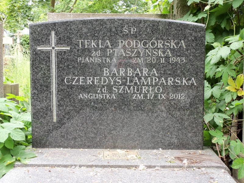 Zdjęcie grobu Tekla Podgórska (2)