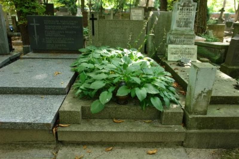 Zdjęcie grobu: Michalina Białowiejska
