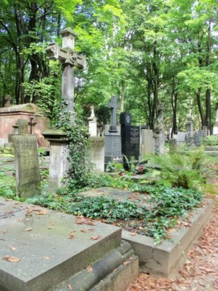 Zdjęcie grobu Tekla Lipczyńska (1)