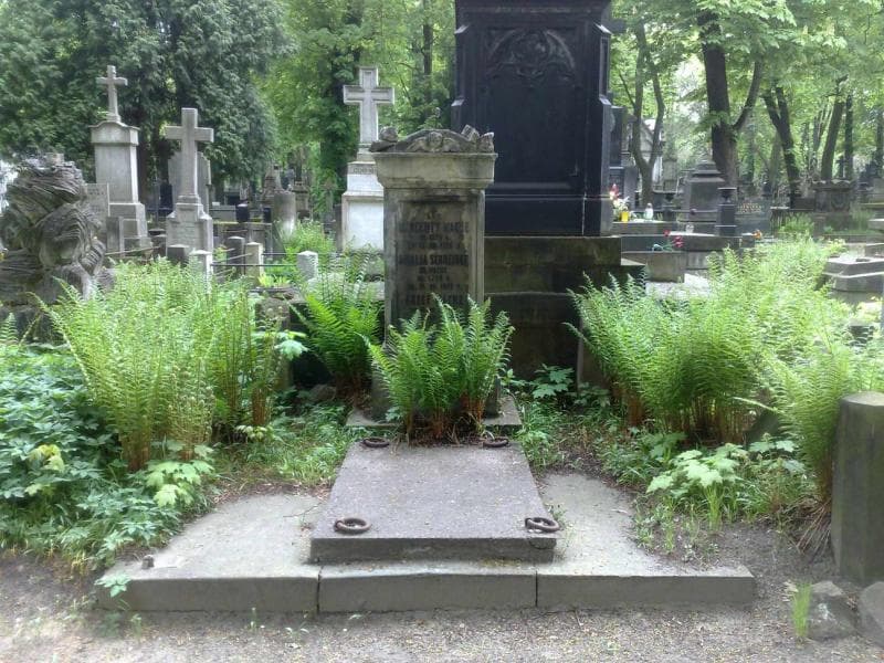 Zdjęcie grobu: Józef Wache