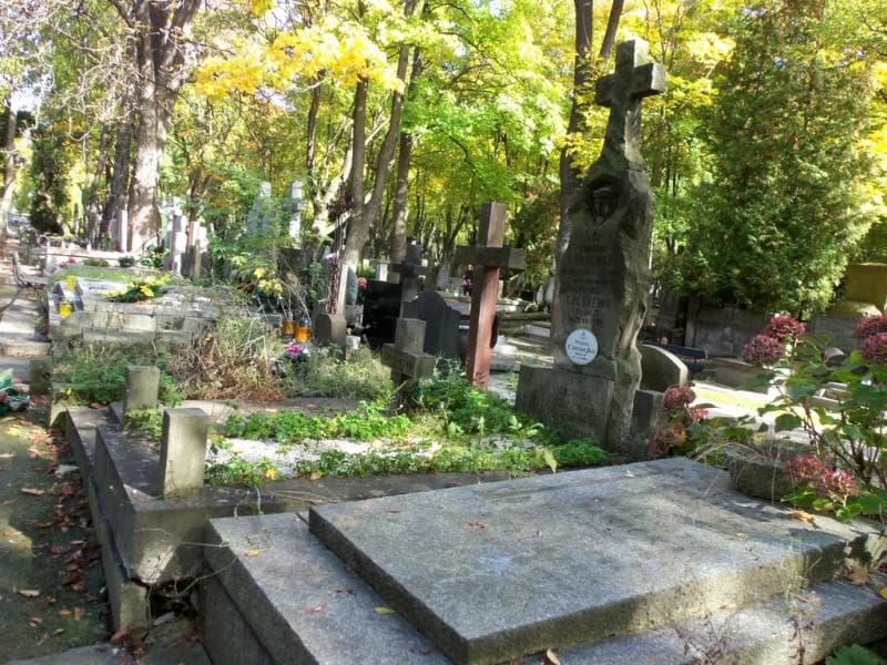 Zdjęcie grobu Wanda Czeszejko (1)