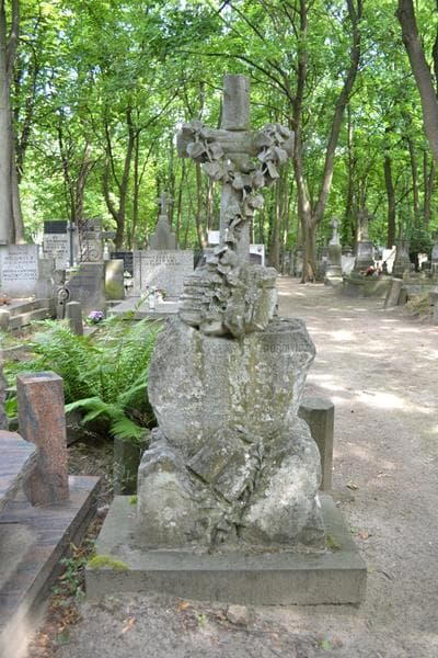 Zdjęcie grobu Władysław Gorowicz (2)