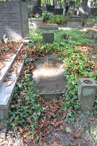 Zdjęcie grobu Tomasz Janicki (1)