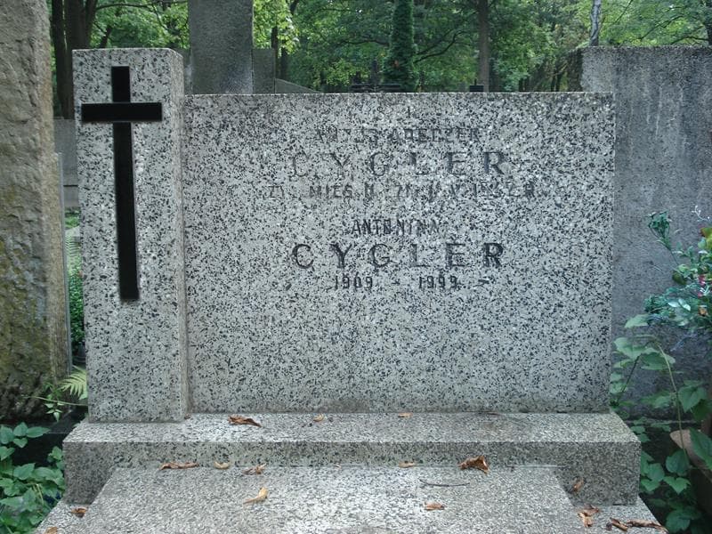 Zdjęcie grobu Antoś Areczek Cygler (1)