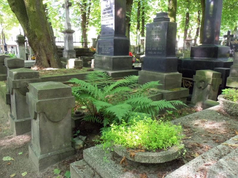 Zdjęcie grobu Marya Von Stender (1)