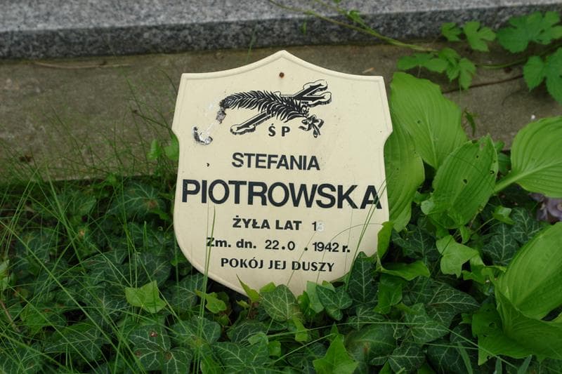 Zdjęcie grobu Stefania Piotrowska (2)