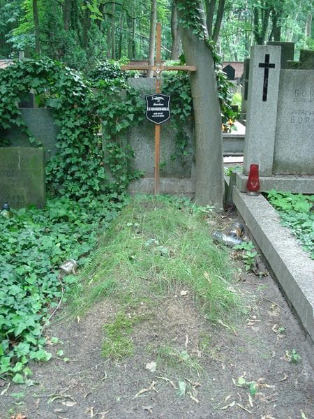 Zdjęcie grobu: Stanisława Lewandowska
