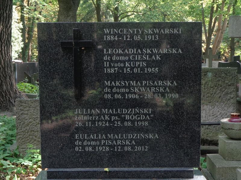 Zdjęcie grobu Julian Maludziński (2)