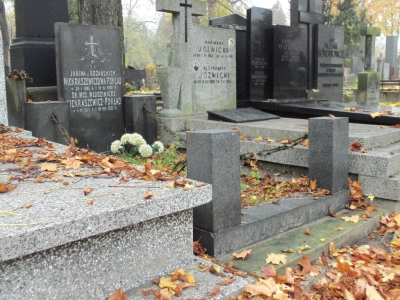 Zdjęcie grobu Włodzimierz Niekraszewicz - Pokład (1)