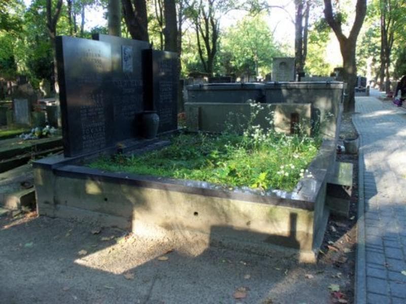 Zdjęcie grobu Wacław Tokarz (1)