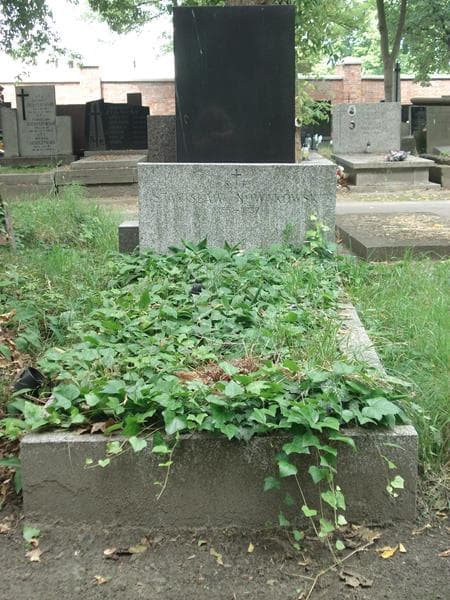 Zdjęcie grobu: Stanisław Nowakowski