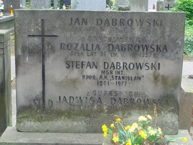 Zdjęcie grobu Jadwiga Dąbrowska (2)