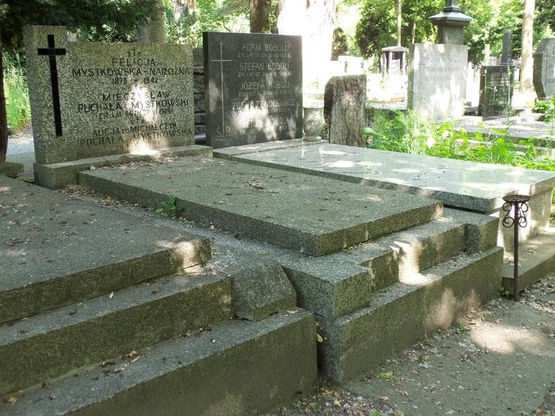 Zdjęcie grobu Mieczysław Puchała Mystkowski (1)