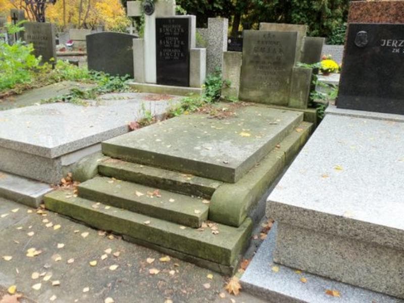 Zdjęcie grobu Edmund Bujak (1)