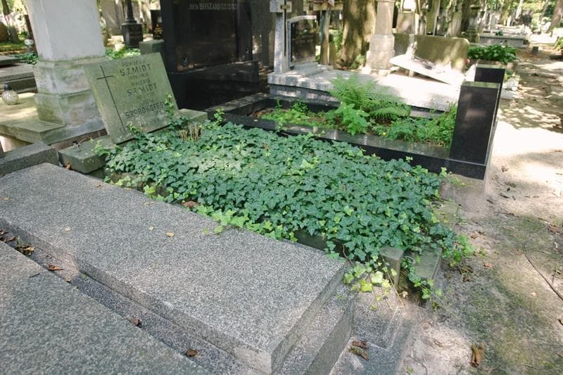 Zdjęcie grobu: Romuald Szmidt