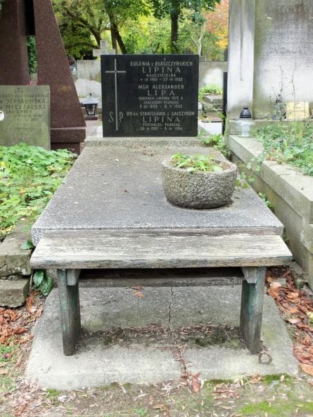 Zdjęcie grobu: Aleksander Lipa